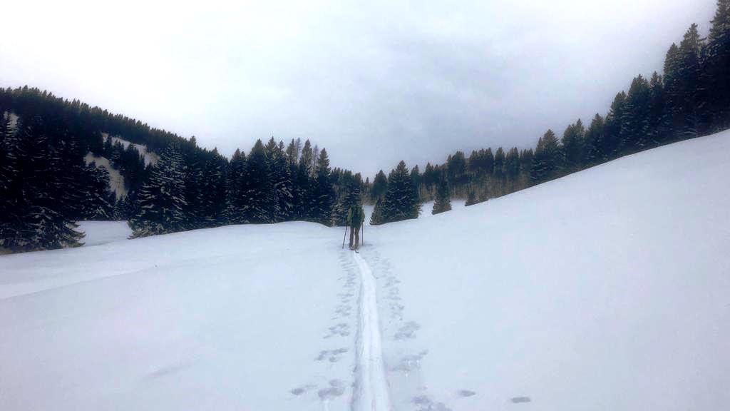 10. März 2021 Frühstückstour Postalm