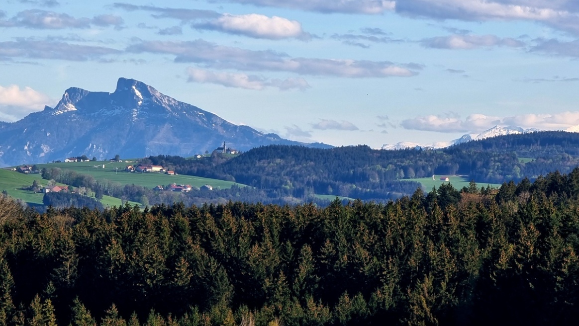 Schafbergblick