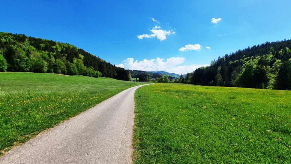 29. April 2025 - Zuckmayer-Weg-Seekirchen-Tödtleinsdorf-Schleedorf