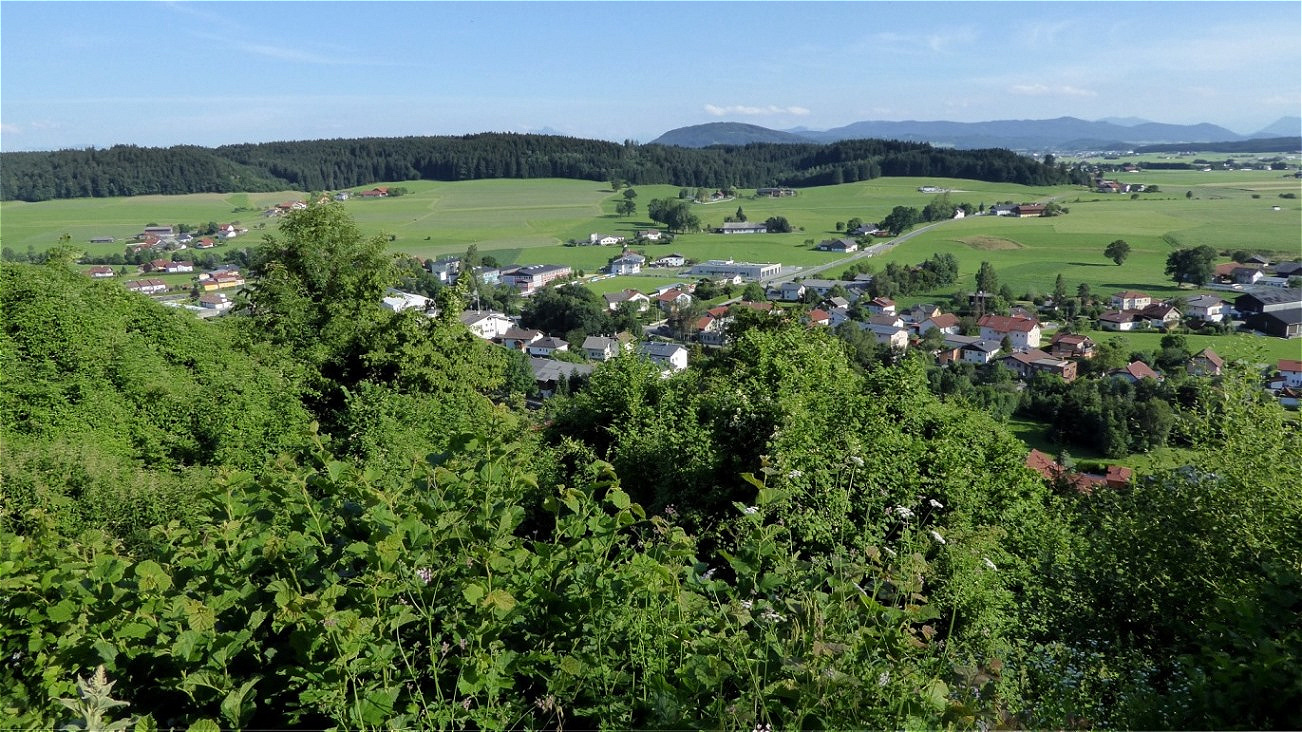 Sommerschnitt der Reben - 7. Juli 2016