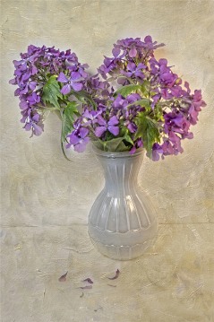 Vase of Flowers (Sue Tucker)