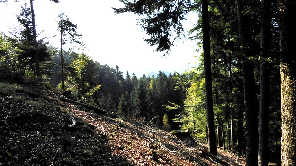 Südblick