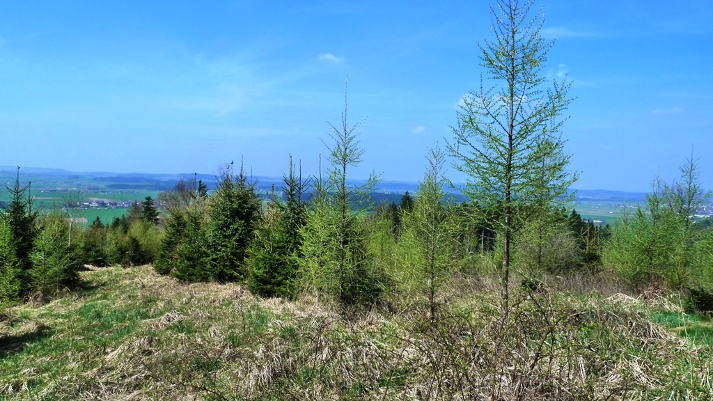 Am höchsten Punkt im Innern der Fliehburganlage - Blick nach Westen