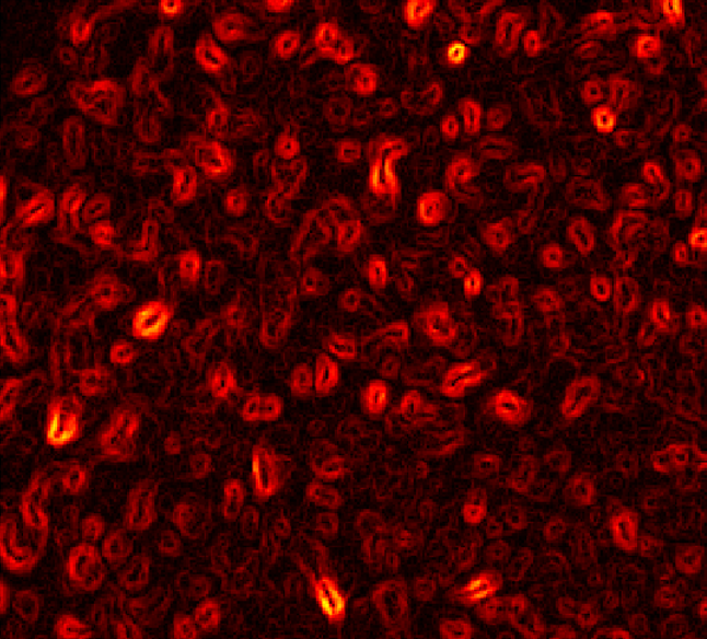 Nematic domains after rapid cooling from isotropic phase2