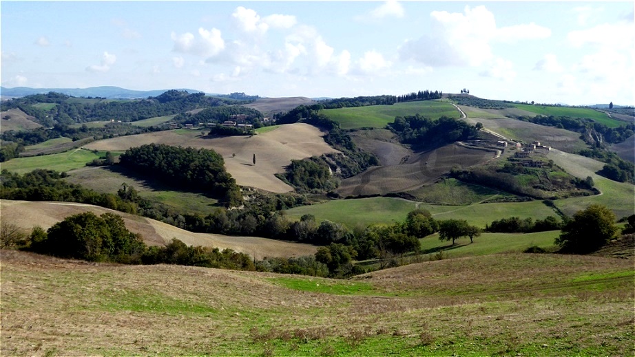 Typische Hügellandschaft -irgendwo mitten in der "Crete Senesi"