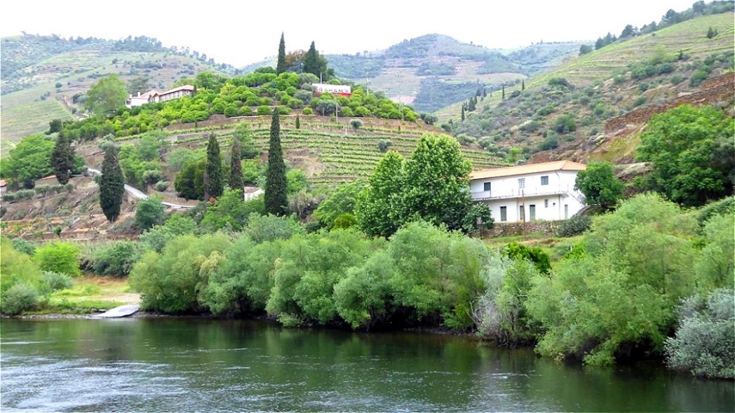 Flussabschnitt "Cima Corgo" - die hier produzierten Weine gelten als die besten Portugals