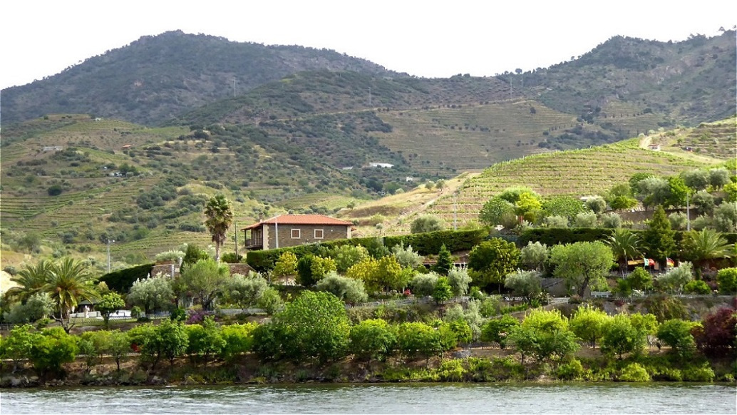 In der Region "Douro Superior" ist das Klima deutlich trockener !
