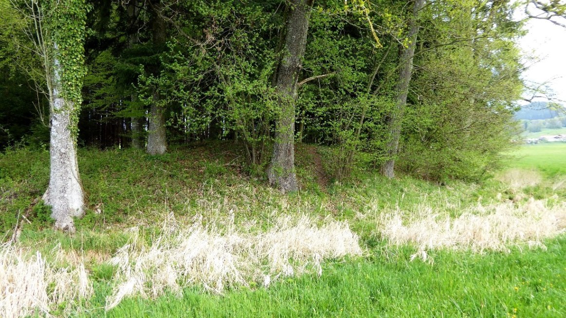 Südansicht von außen