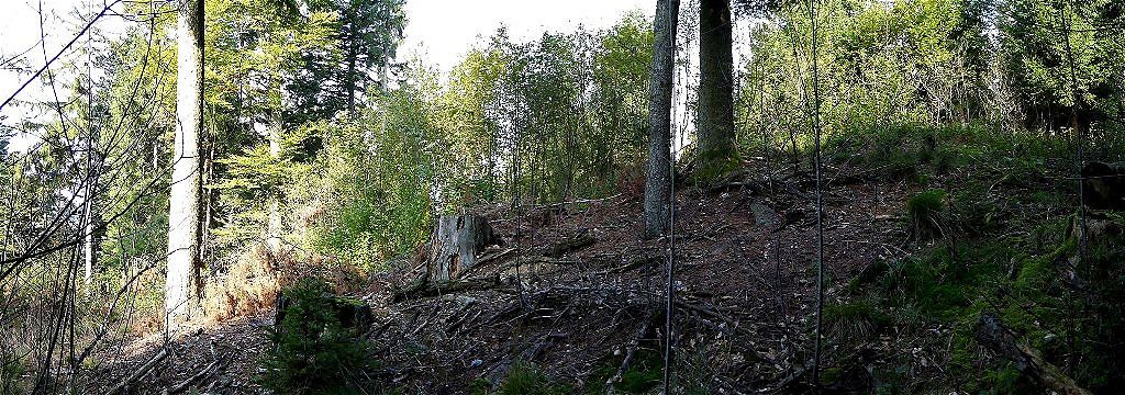 Seitenansicht von Süden