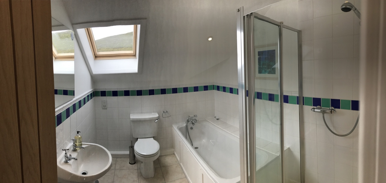 Family bathoom with bath and standalone shower