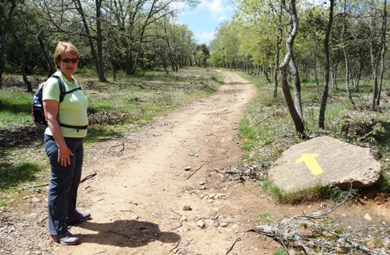 Der Weg ist gut markiert !