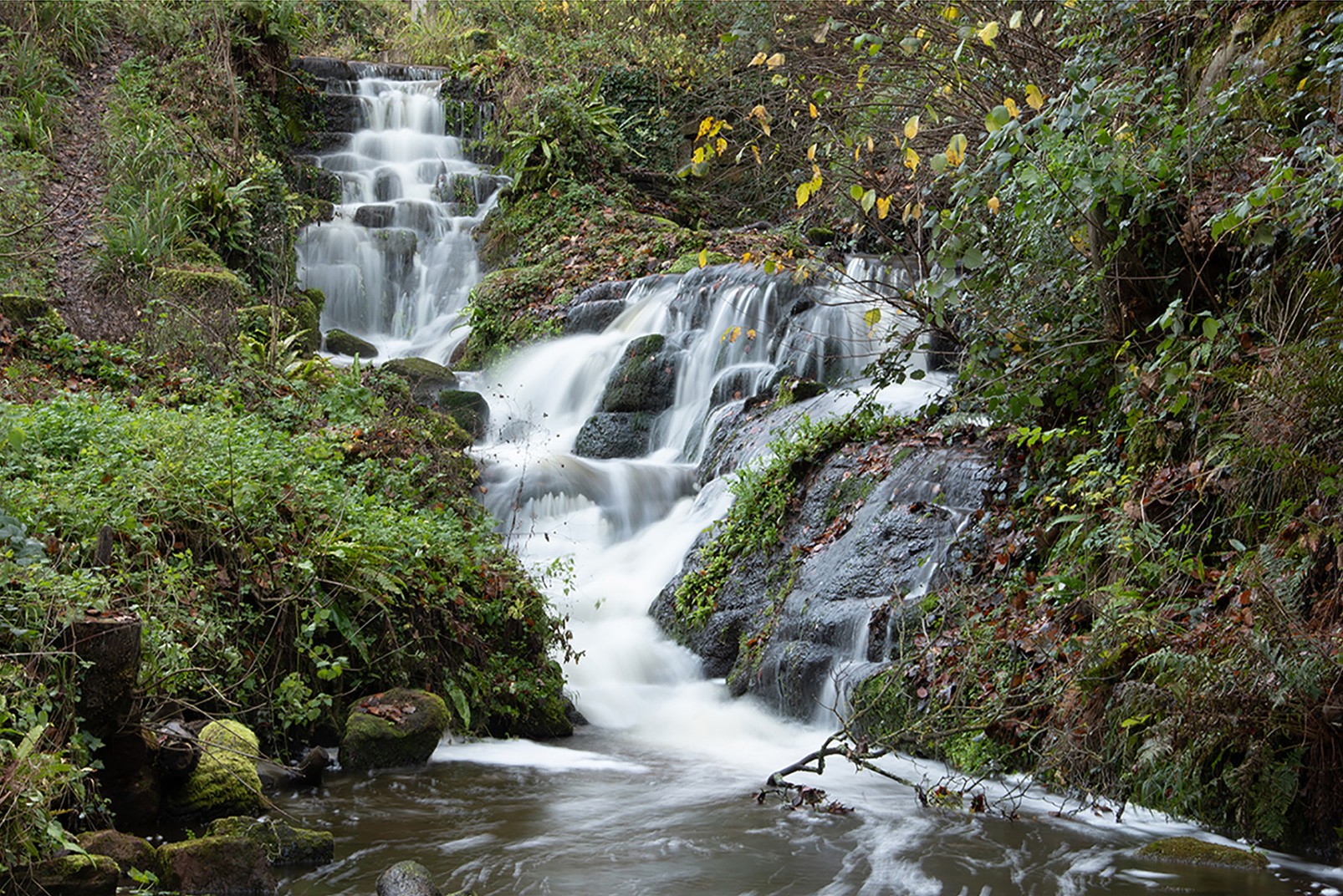 Commended: Badger Falls (Bryan Organ)