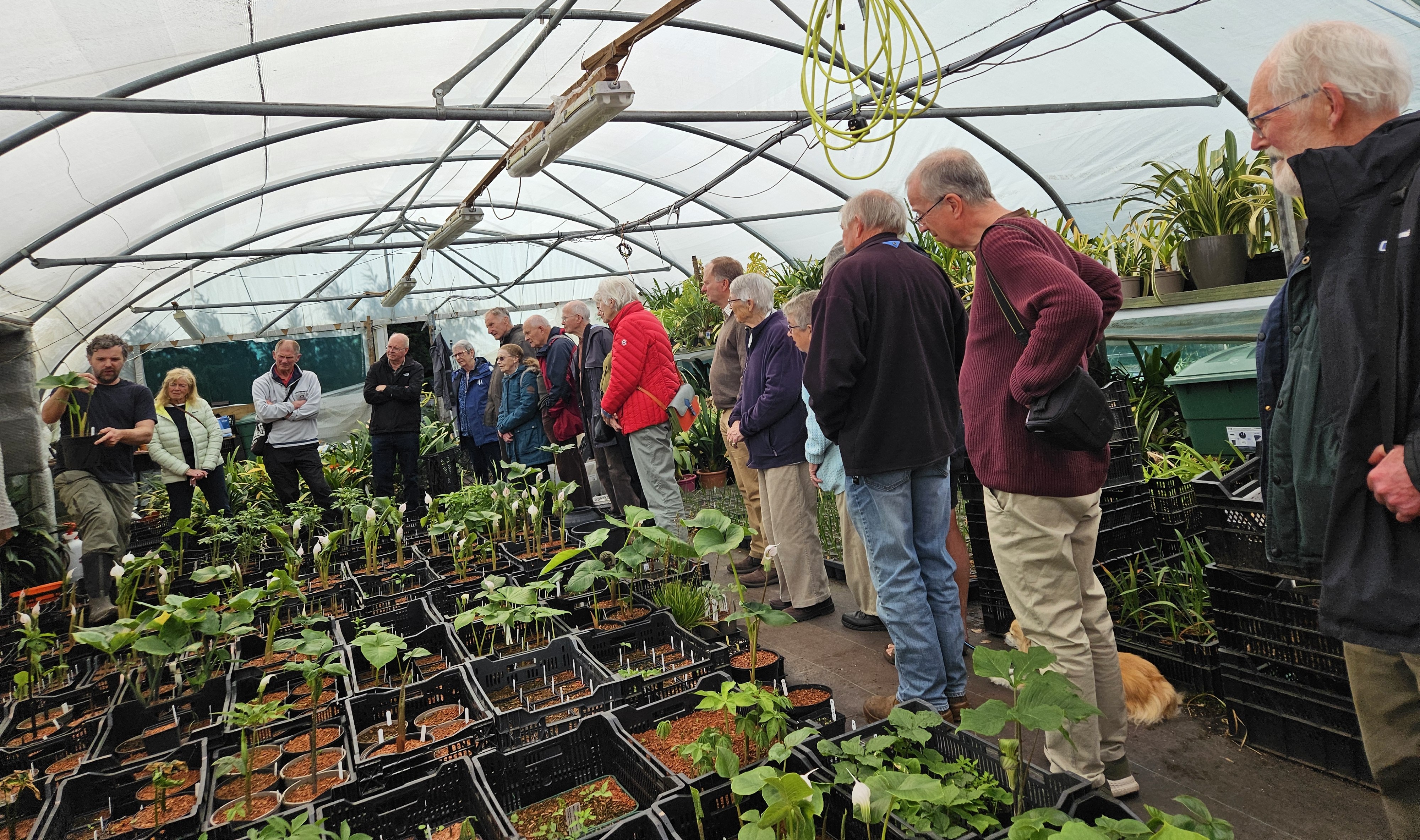 NAAS members at Hoyland Plants 