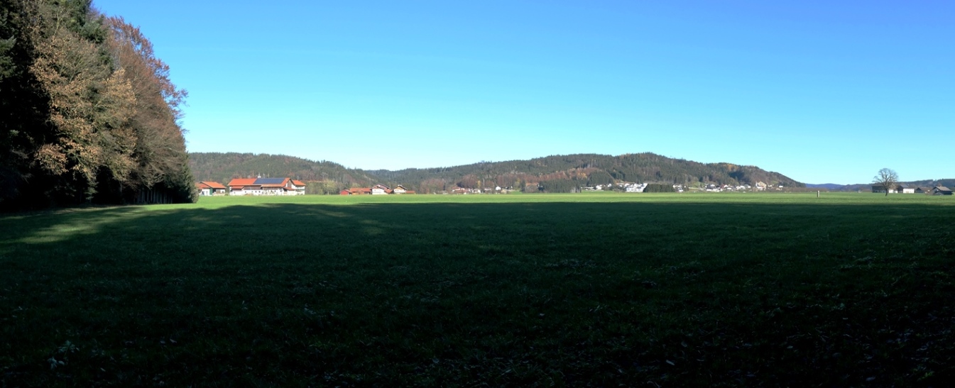 Am Nordostrand des Galgenholzes - Blick in Richtung Friedburg