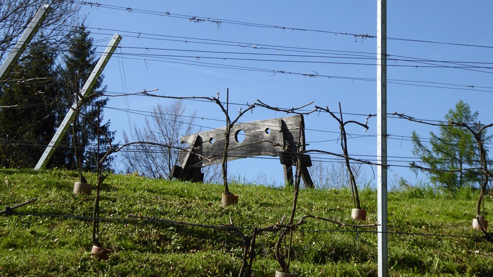 2017_04_24  Gebundene Ruten