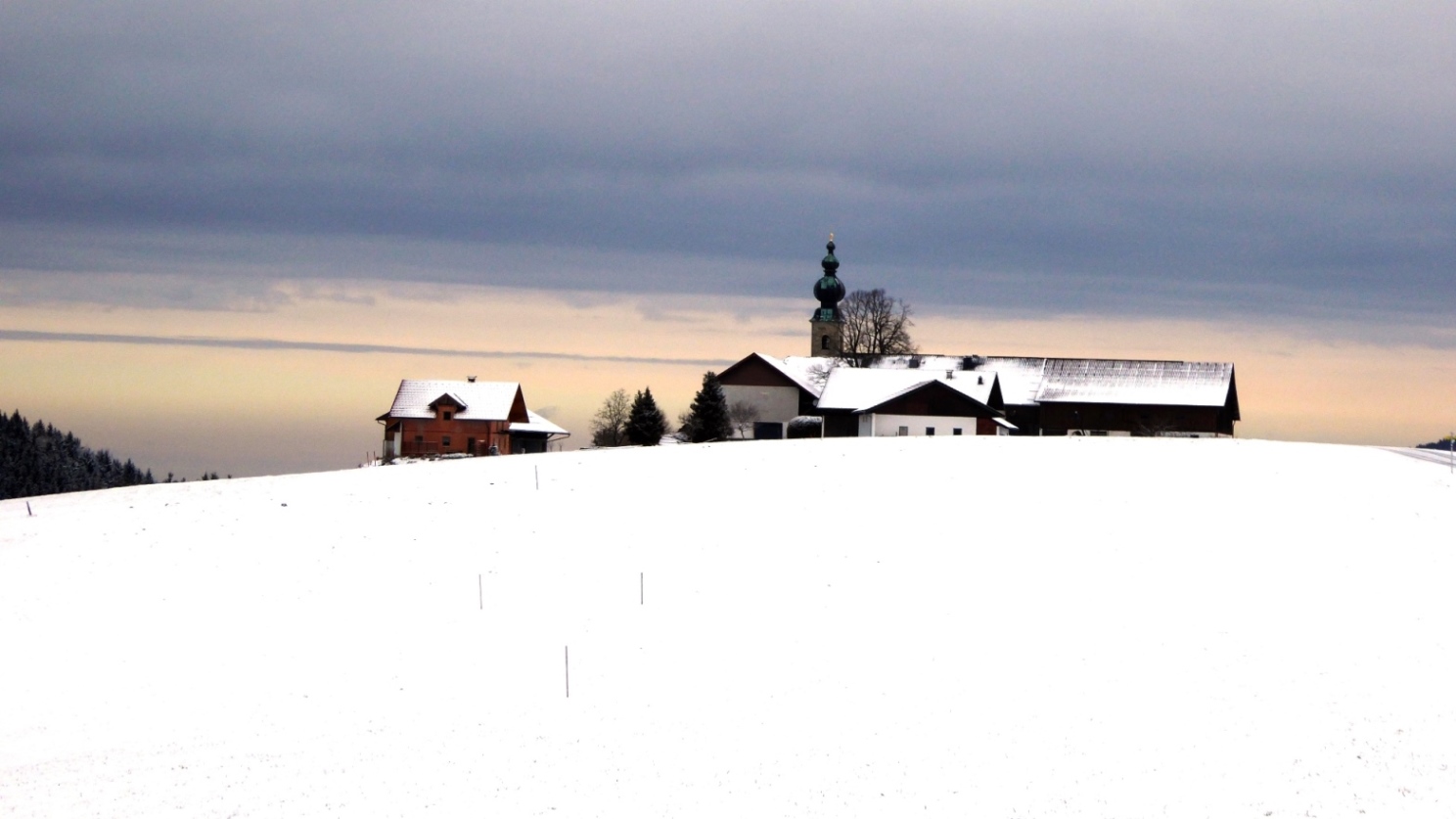 Zurück in Sommerholz
