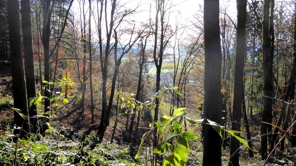 Abwärts auf dem historischen Kuchlersteig