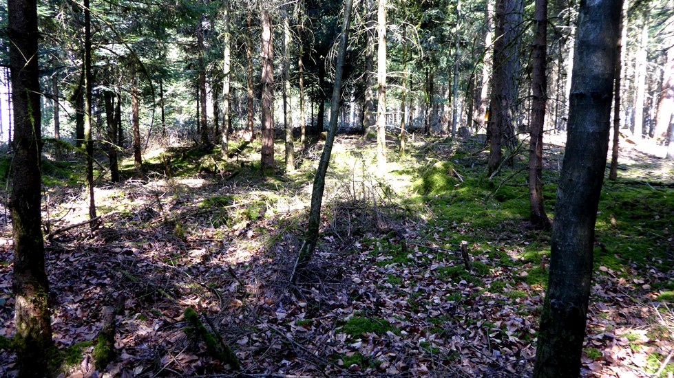 Keltischer Riesentumulus