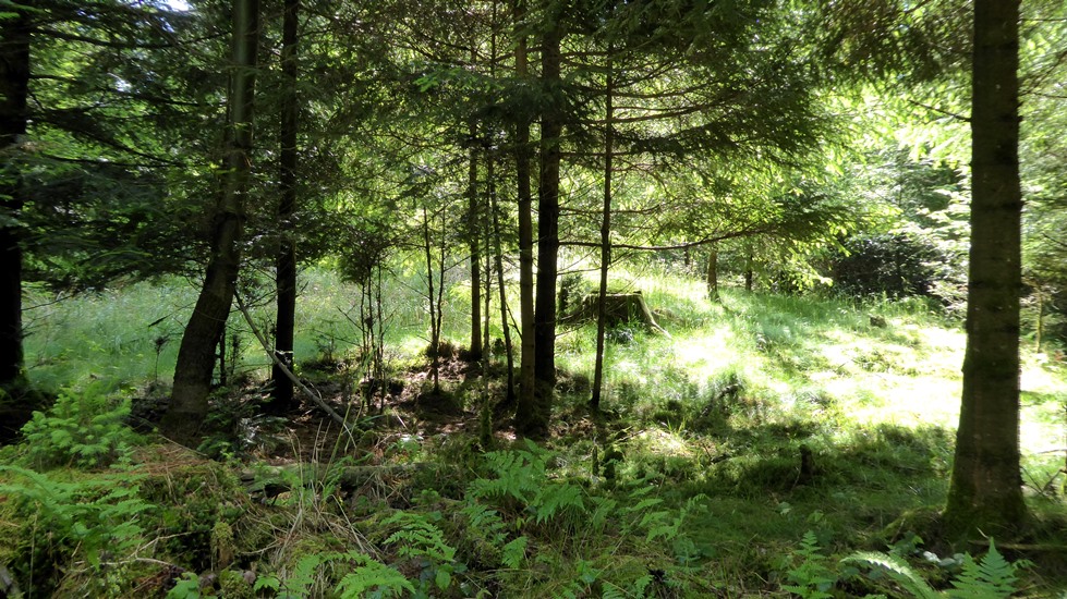 Die darin enthaltenen Funde ließen eine Datierung zu !