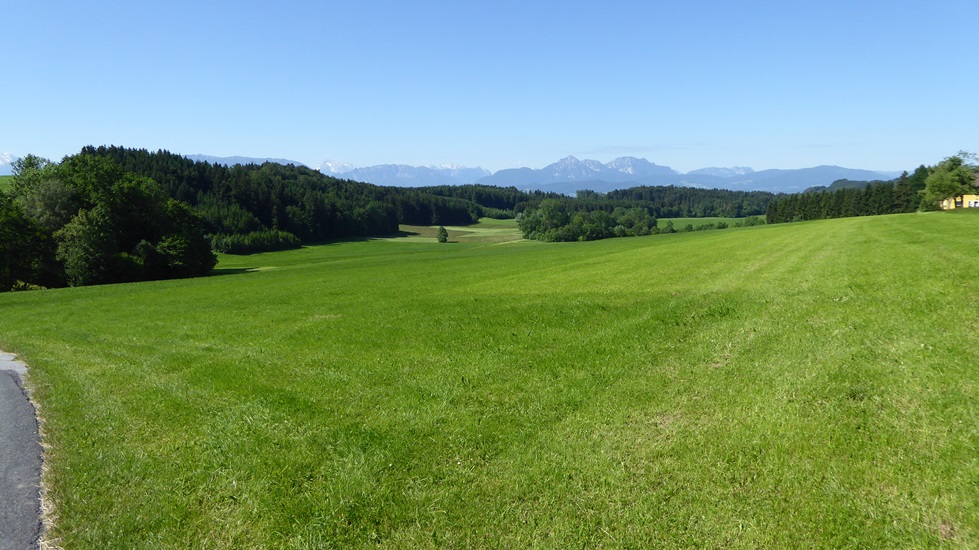 Herrliches Naturerlebnis