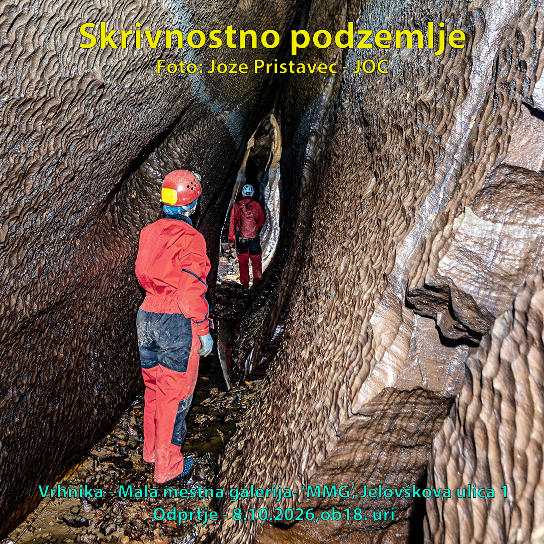 https://0501.nccdn.net/4_2/000/000/046/6ea/vabilo.jpg
