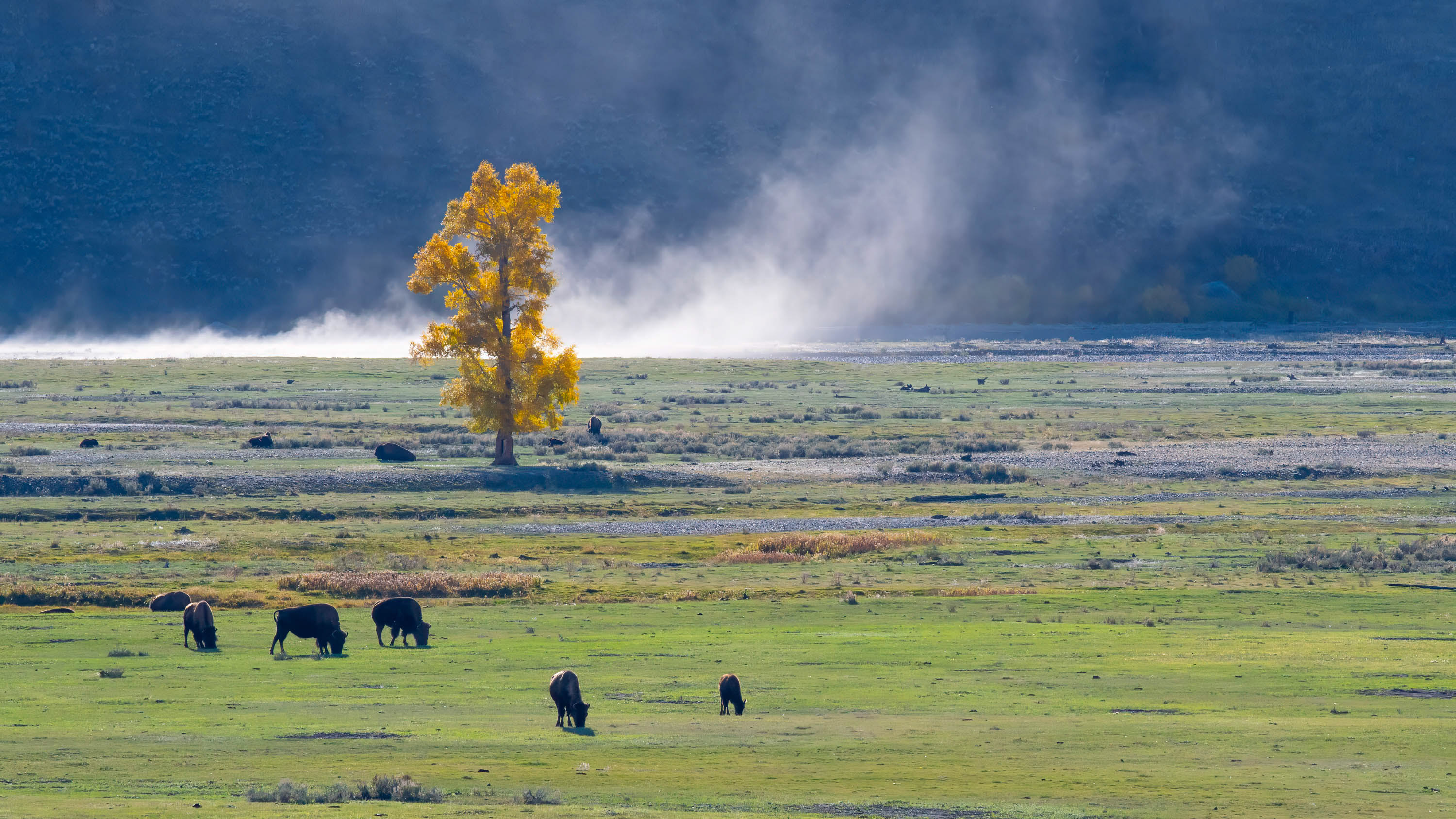 https://0501.nccdn.net/4_2/000/000/046/6ea/web_yellowstone-tetons-42.jpg