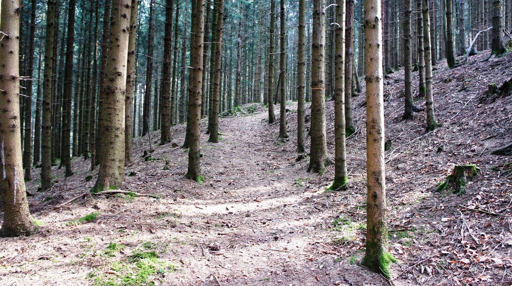 Wall und Graben - Nordseite