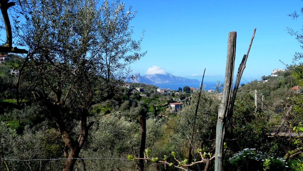 Auf dem Weg von Schiazzano nach Annunziata
