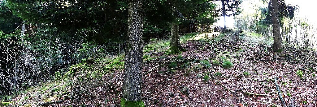 Blick von Norden aufwärts.
Auf der höchsten Stelle der Bergschulter erhebt sich der Grabhügel