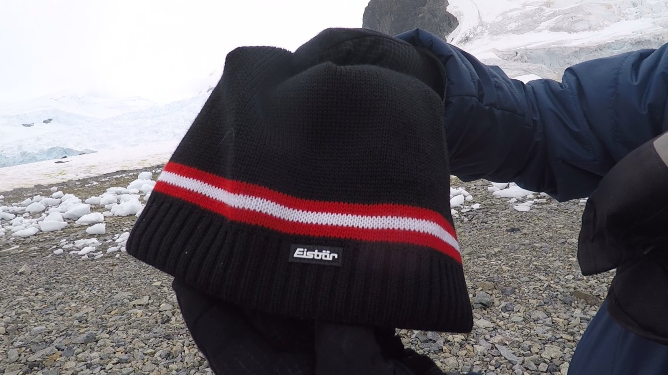 Eisbär in der Antarktis ? Ist das möglich ?