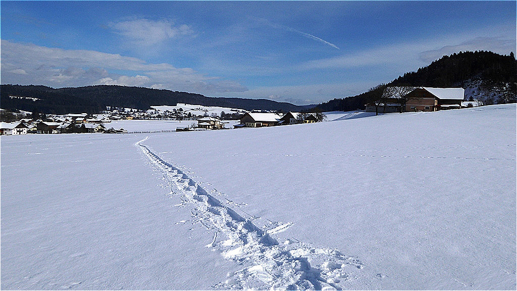 Blick ins Schwemmbachtal - Richtung Schneegattern
