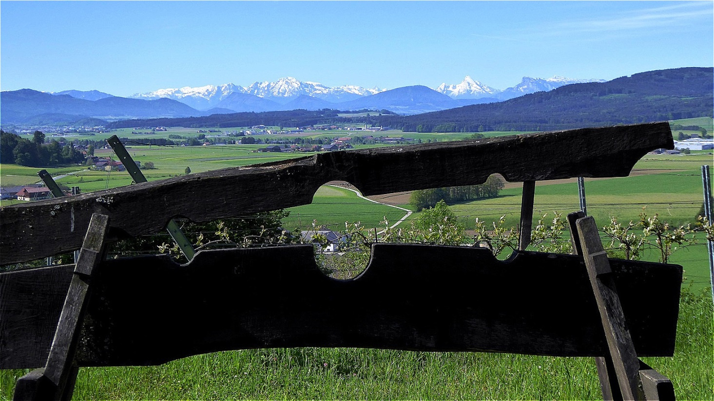 Blick durch die Schandgeige