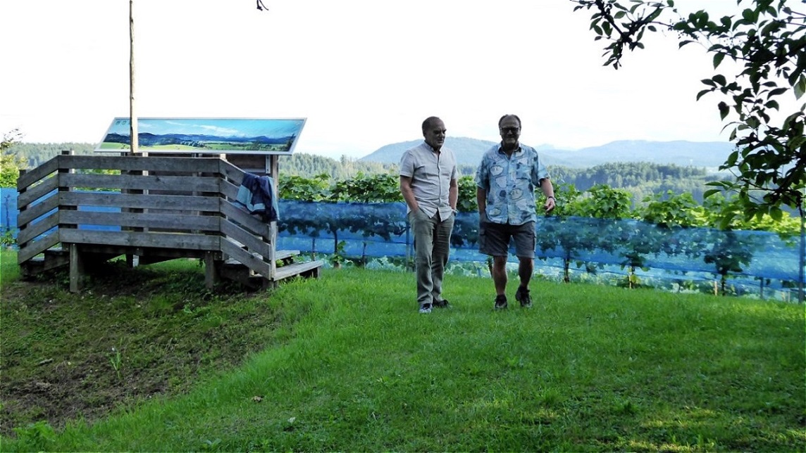 Rundgang im Weingarten