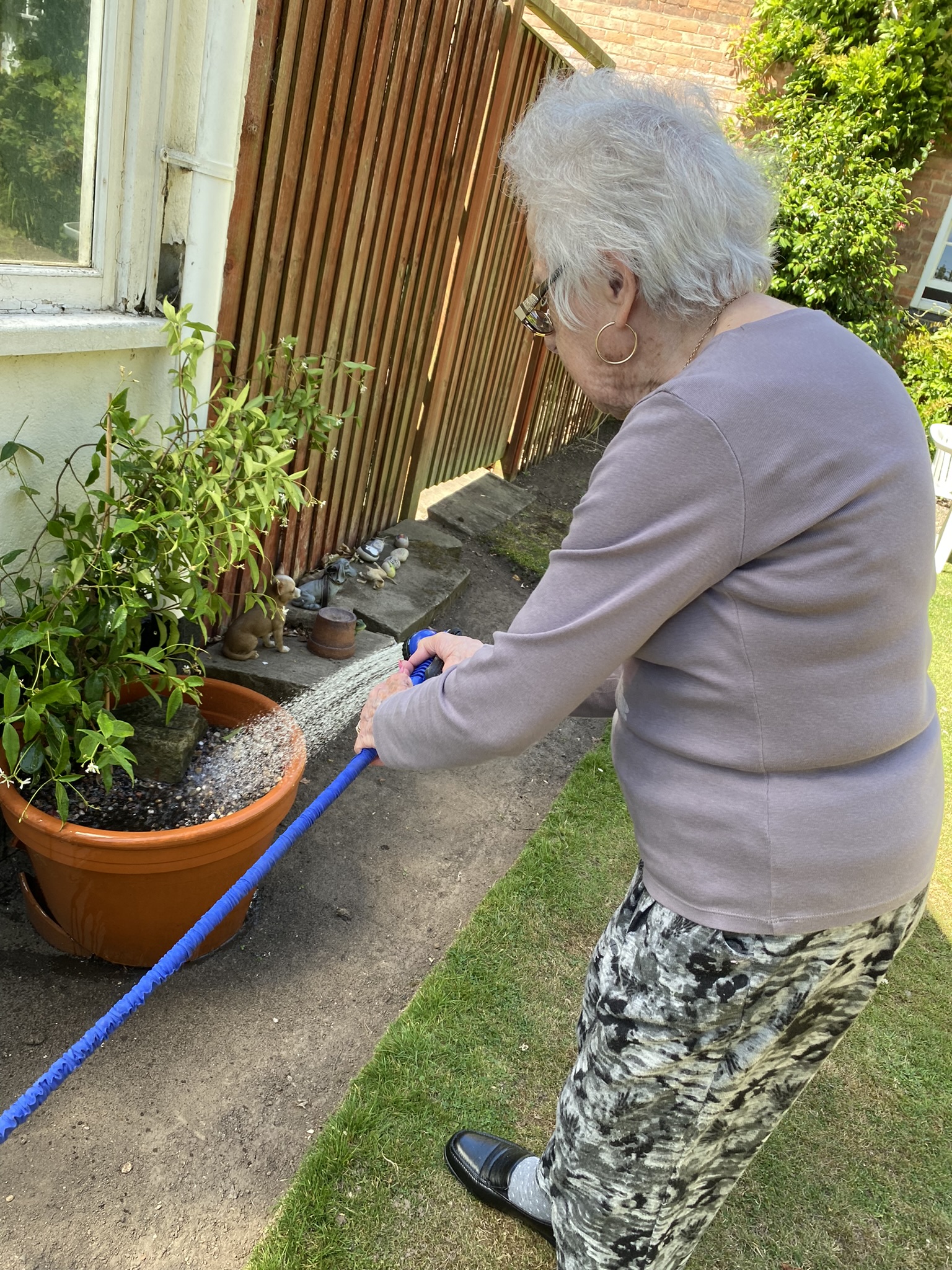 Watering The Plants - July 2022
