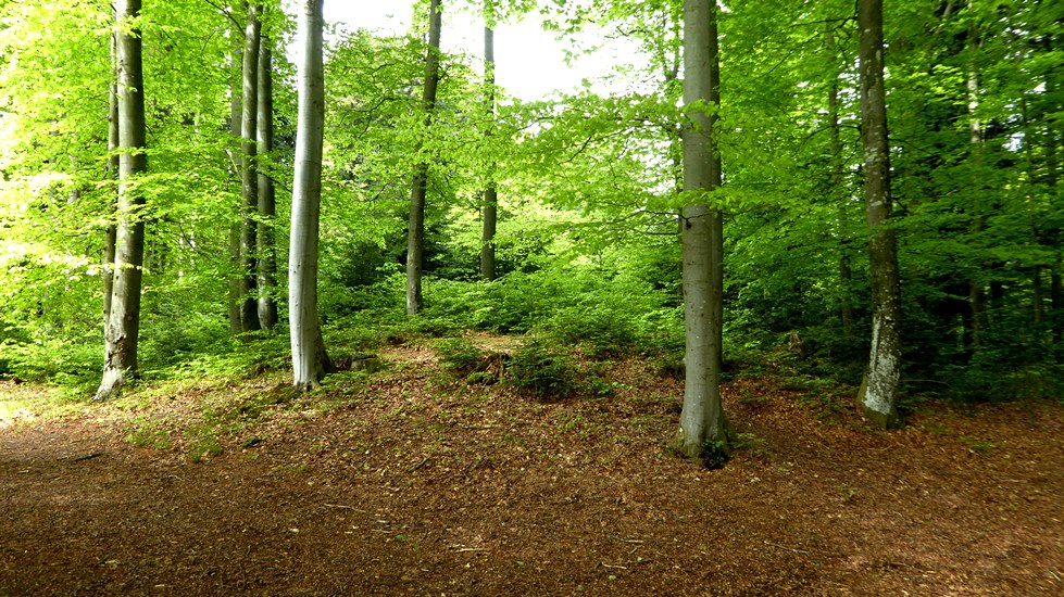 Hügelgrab 1