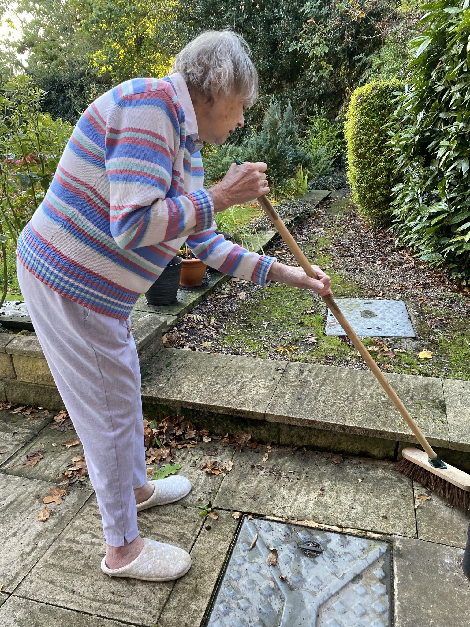 Sweeping the Garden - October 2021