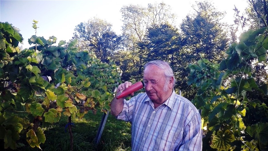 Blick durch den Refraktometer