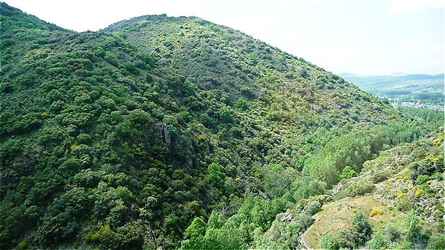 Blick hinaus in Richtung Molinaseca