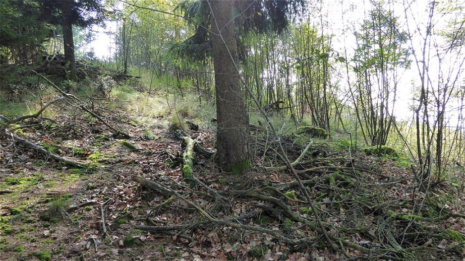 Seitenanblick von Nordwesten - am Fuß des Tumulus