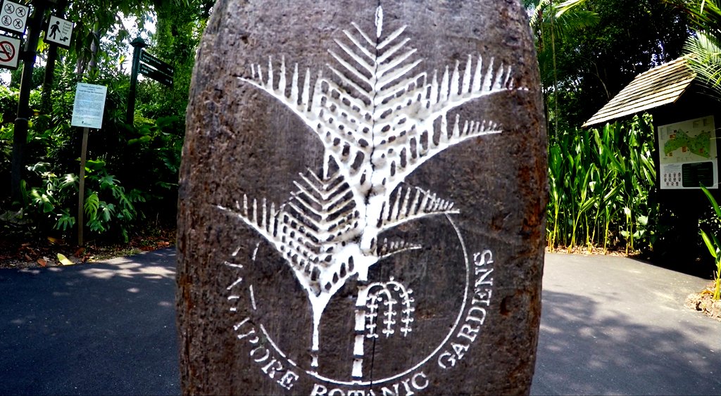 Der botanische Garten