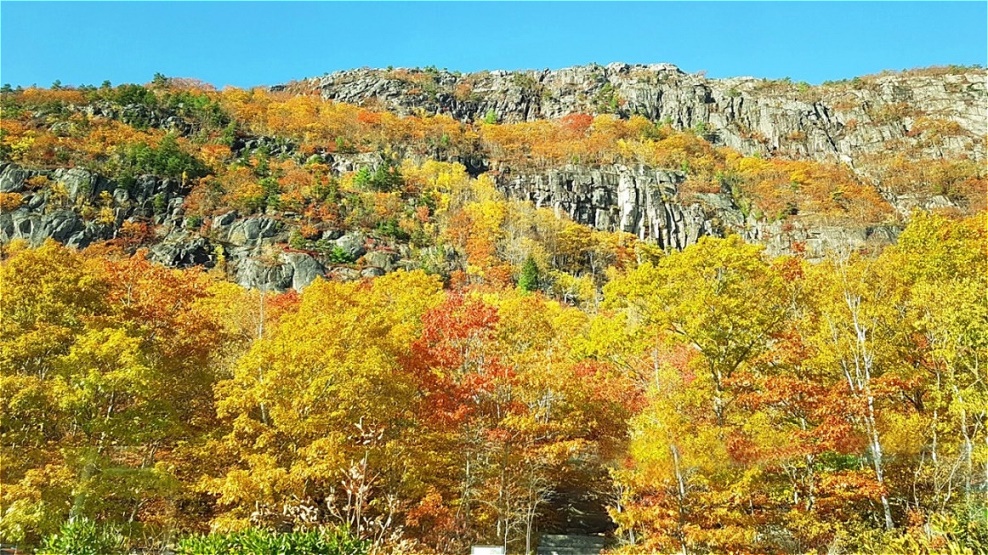 Im Acadia Nationalpark