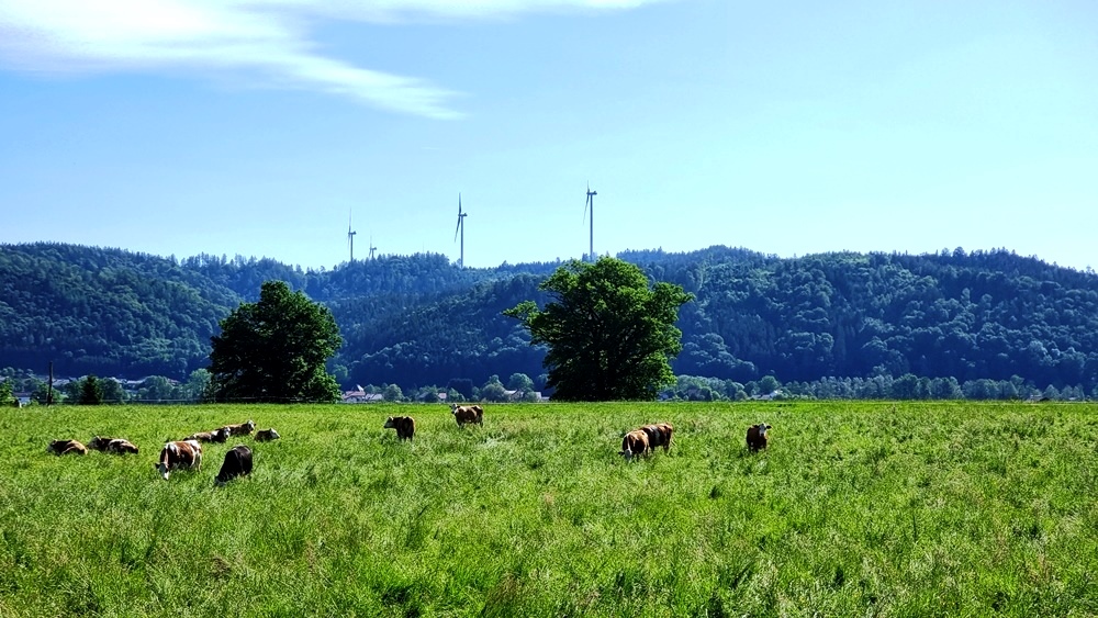 22. Mai 2022  Helpfau-Pfaffstätt-Runde