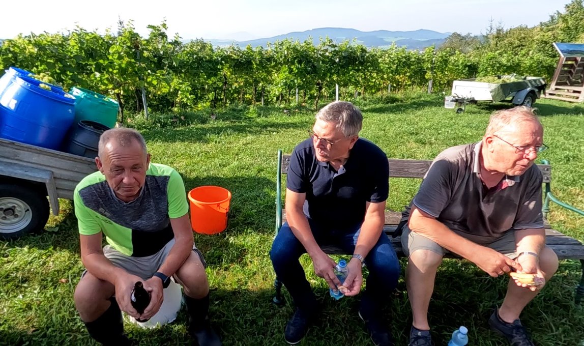 Bgm. Rippl spendiert den fleißigen Winzern eine Jause und Getränke !