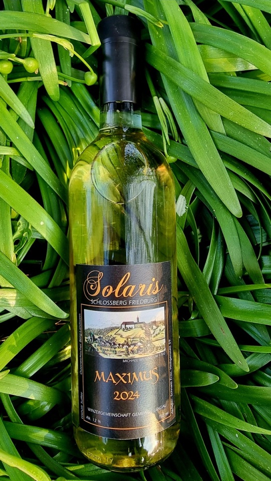 MAXIMUS - Jahrgang 2024