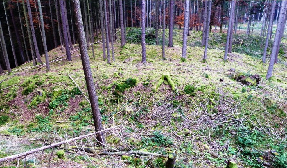 Blick aus dem Inneren der Fliehburg über den Doppelwall nach Norden