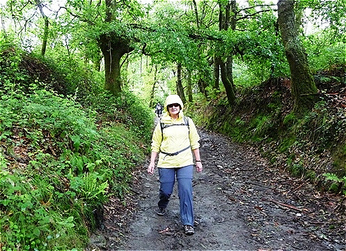 Rutschiger Karrenweg