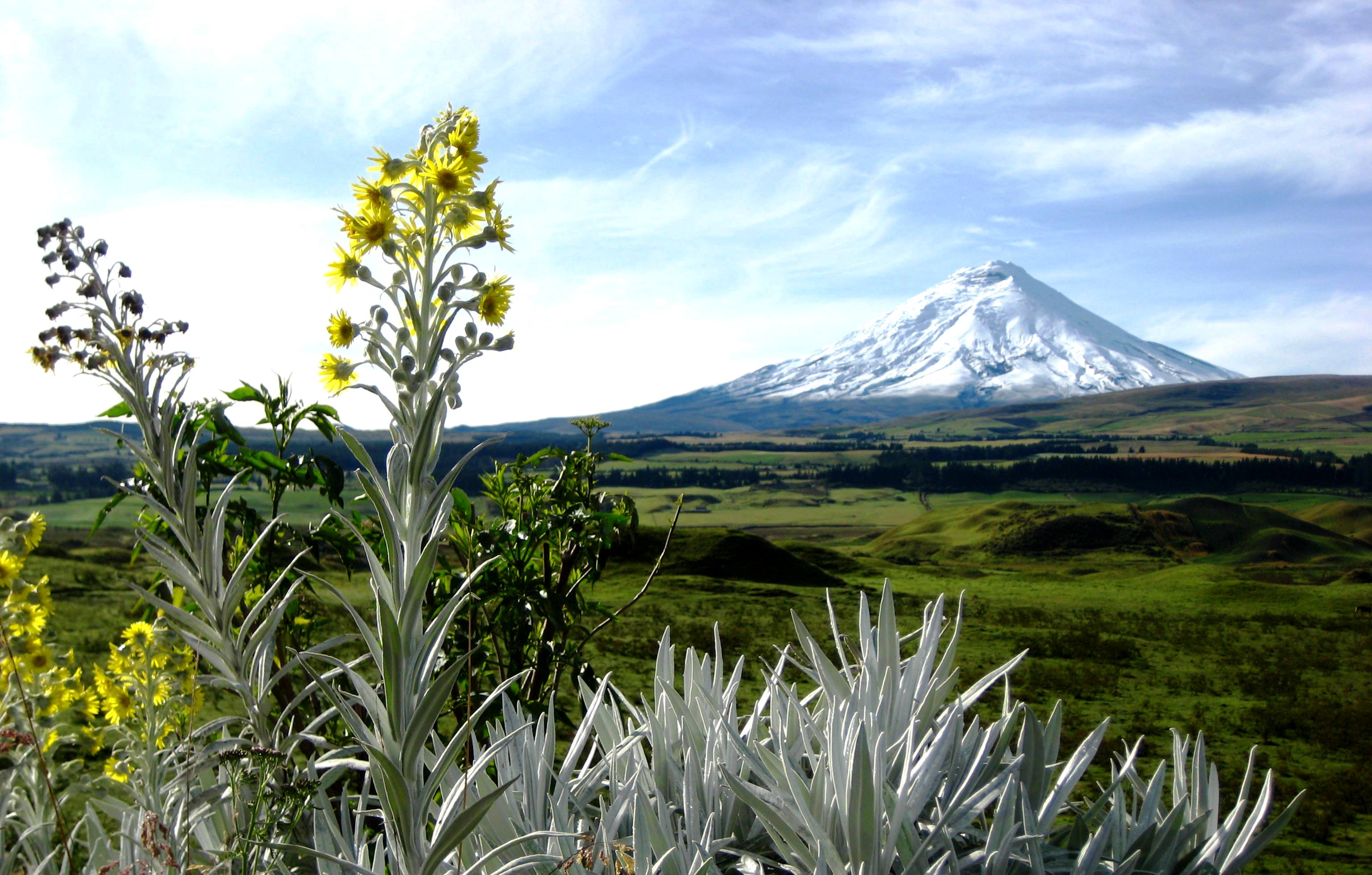 Der Cotopaxi 5.897 m - ein vergletscherter Vulkan