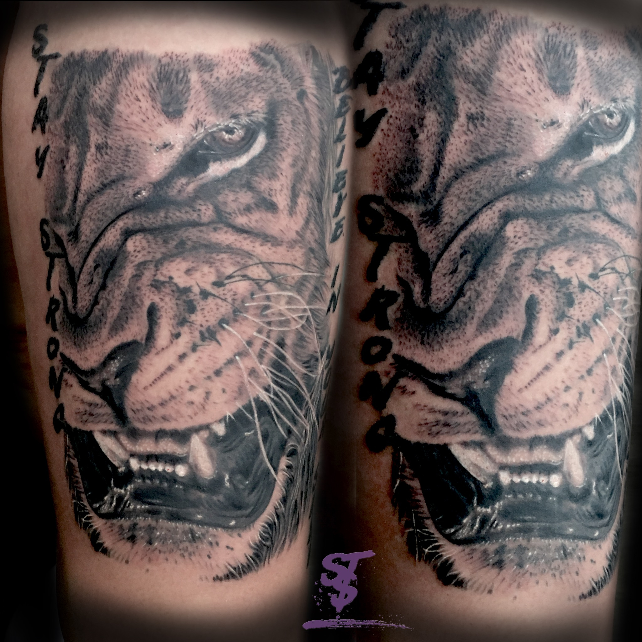lion löwe böse angry black white tattoo