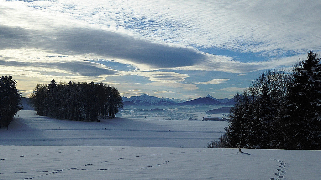 Blick über den Flachgau Richtung Salzburg