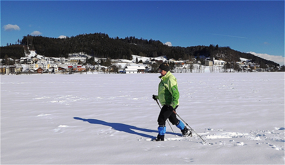 Vor der Kulisse Friedburgs